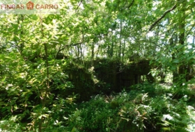 Cerdedo 3200&nbsp;m²