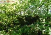 Non-developable land for sale in Cerdedo ref: TR23127 photo