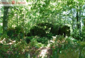 Cerdedo 3200&nbsp;m²
