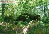 Non-developable land for sale in Cerdedo ref: TR23127 photo