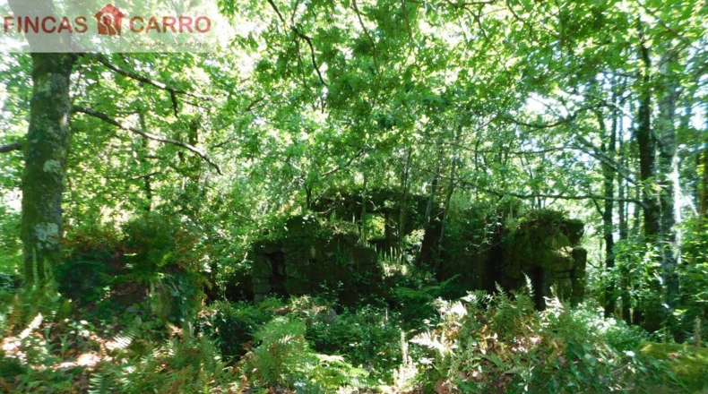 Pontevedra - A Xesteira - 3200m2