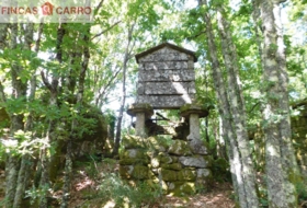 Cerdedo 3200&nbsp;m²
