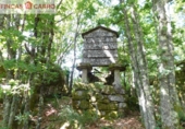 Non-developable land for sale in Cerdedo ref: TR23127 photo