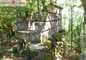Non-developable land for sale in Cerdedo ref: TR23127 photo