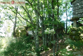 Cerdedo 3200&nbsp;m²