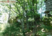 Non-developable land for sale in Cerdedo ref: TR23127 photo