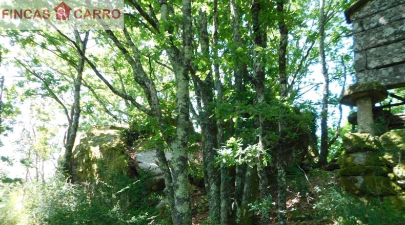 Pontevedra - A Xesteira - 3200m2