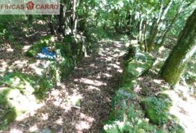 Cerdedo 3200&nbsp;m²