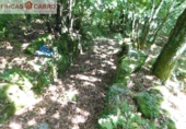 Non-developable land for sale in Cerdedo ref: TR23127 photo