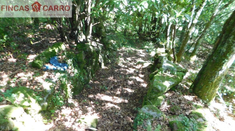 Pontevedra - A Xesteira - 3200m2