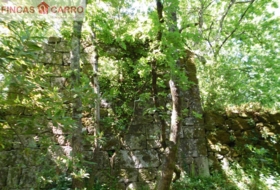 Cerdedo 3200&nbsp;m²