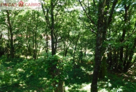 Cerdedo 3200&nbsp;m²
