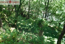 Cerdedo 3200&nbsp;m²