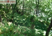 Non-developable land for sale in Cerdedo ref: TR23127 photo
