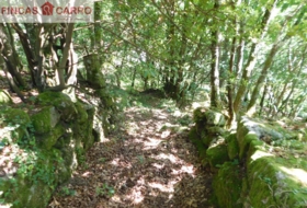 Cerdedo 3200&nbsp;m²