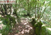 Non-developable land for sale in Cerdedo ref: TR23127 photo