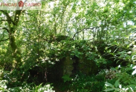 Cerdedo 3200&nbsp;m²