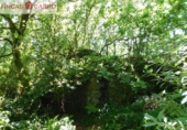 Non-developable land for sale in Cerdedo ref: TR23127 photo