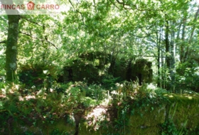 Cerdedo 3200&nbsp;m²