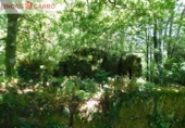 Non-developable land for sale in Cerdedo ref: TR23127 photo