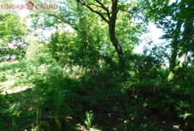Cerdedo 3200&nbsp;m²