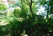Non-developable land for sale in Cerdedo ref: TR23127 photo