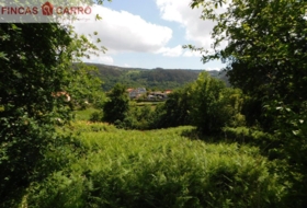 Cerdedo 3200&nbsp;m²