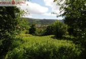 Non-developable land for sale in Cerdedo ref: TR23127 photo