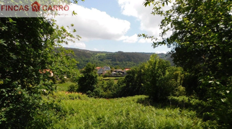 Pontevedra - A Xesteira - 3200m2