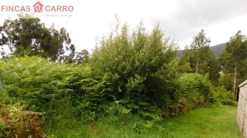 Pontevedra - A Seara - 900m2