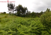 Terreno no urbanizable en venta en Poio de Arriba ref: TR21815 foto