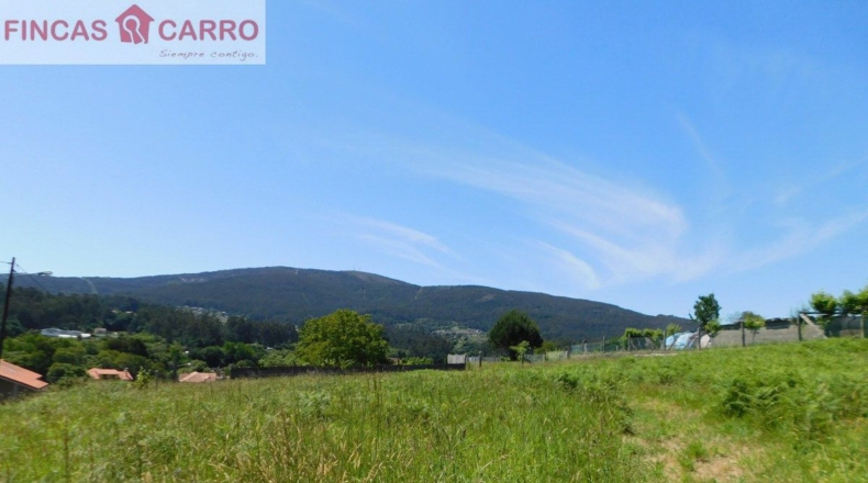 Pontevedra - Pontevedra - 2508m2
