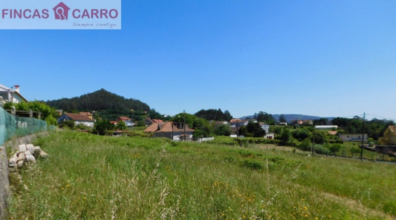 Pontevedra - Pontevedra - 2508m2