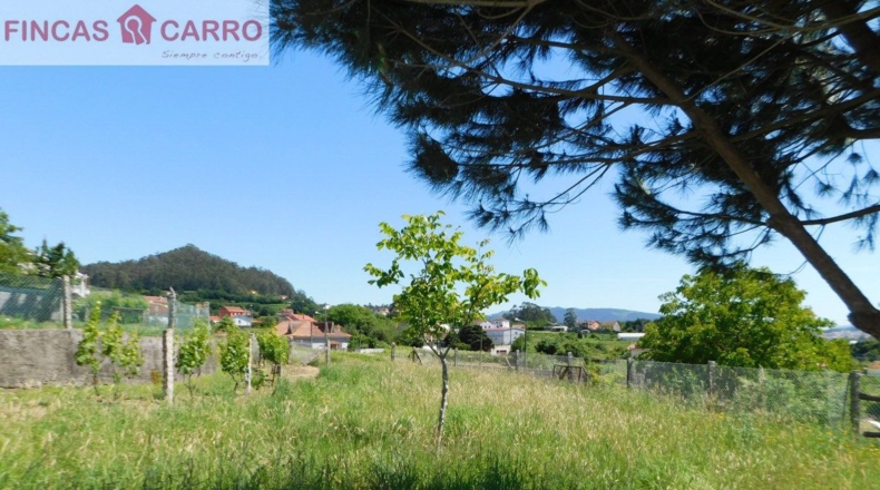 Pontevedra - Pontevedra - 2508m2