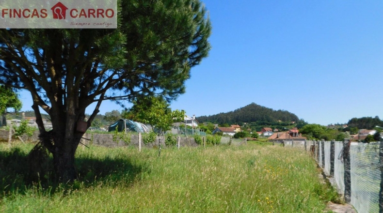 Pontevedra - Pontevedra - 2508m2