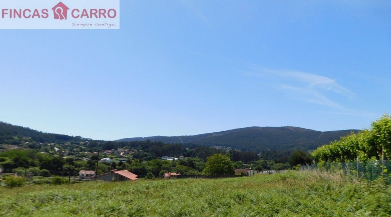 Pontevedra - Pontevedra - 2508m2