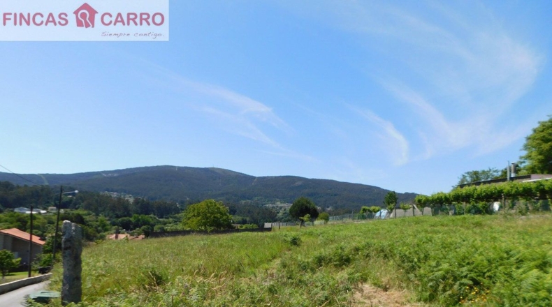 Pontevedra - Pontevedra - 2508m2