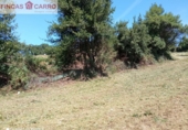 Non-developable land for sale in Cotobade ref: TR21820 photo
