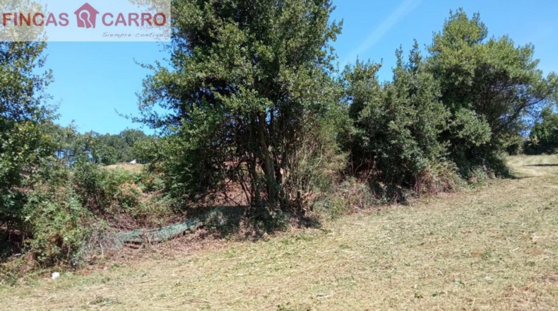 Pontevedra - Ponteareas - 1500m2