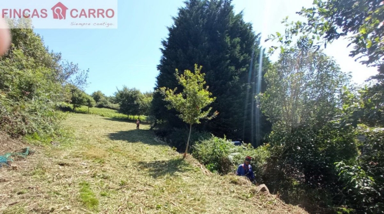 Pontevedra - Ponteareas - 1500m2