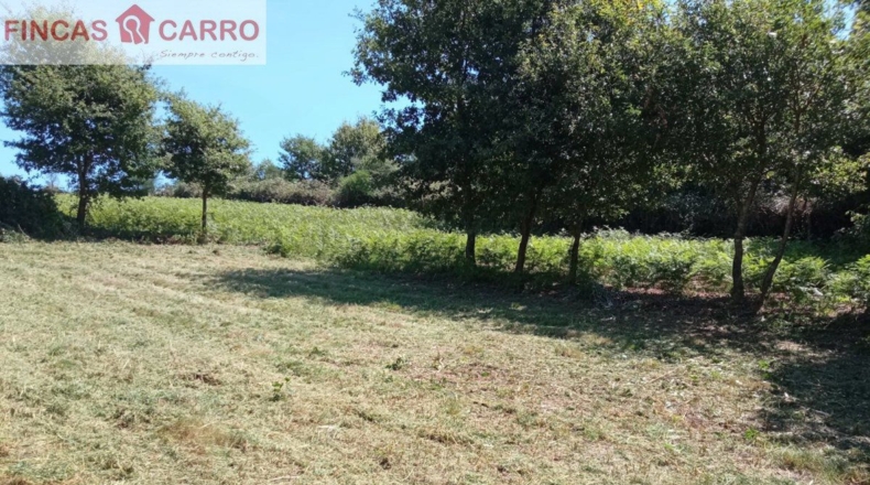 Pontevedra - Ponteareas - 1500m2