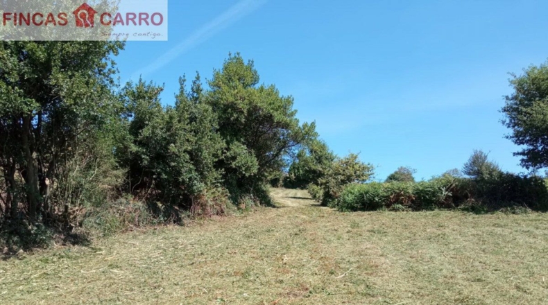 Pontevedra - Ponteareas - 1500m2