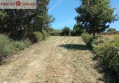 Non-developable land for sale in Cotobade ref: TR21820 photo