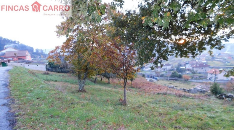 Pontevedra - Leborei - 2000m2