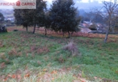 Land suitable for development for sale in Pontevedra ref: TR21823 photo