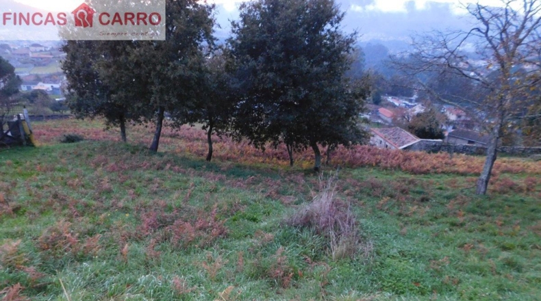 Pontevedra - Leborei - 2000m2
