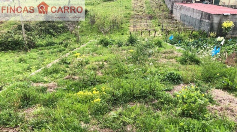 Pontevedra - Curra - 600m2