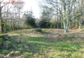Non-developable land for sale in Cerdedo ref: TR57400 photo