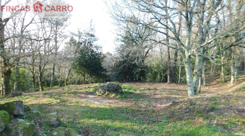 Pontevedra - Ponteareas - 6300m2