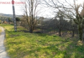 Non-developable land for sale in Cerdedo ref: TR57400 photo